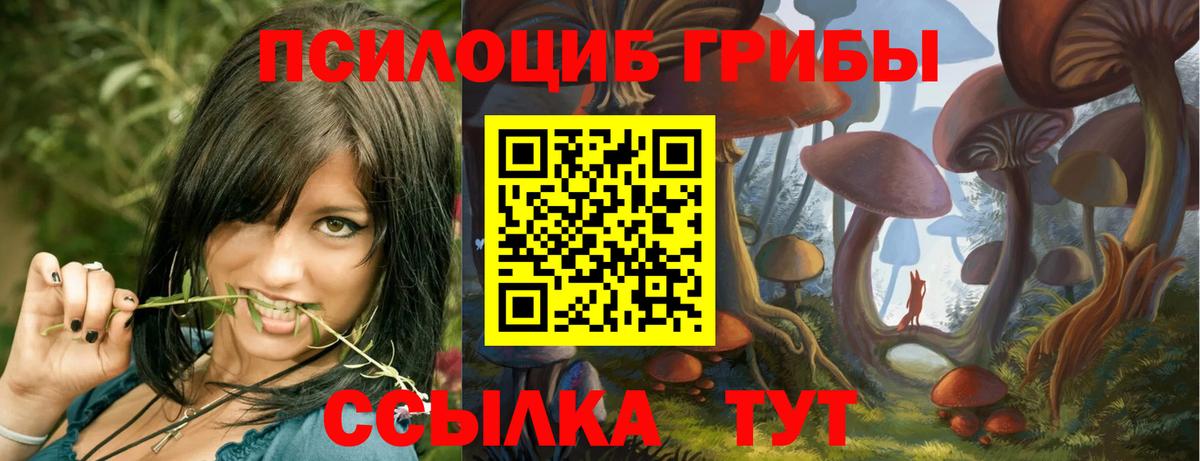 Псилоцибиновые грибы мухоморы  Псилоцибиновые грибы Cubensis  Королёв  Вход с VPN 