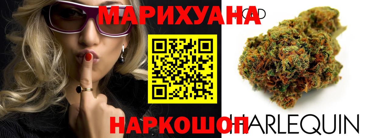 Каннабис ГИДРОПОН Королёв
